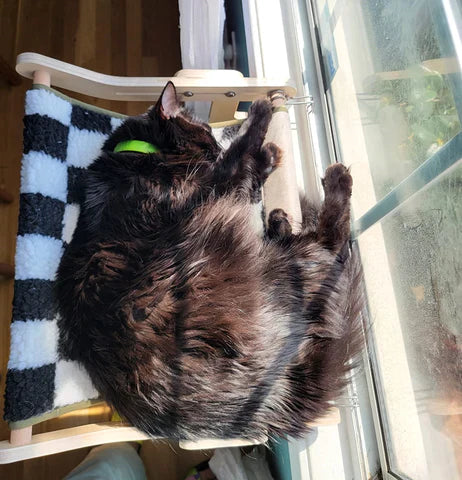 Cama flexible para gatos