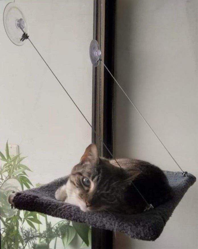 Hamaca para gatos